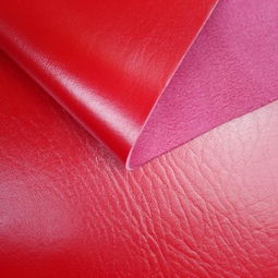 皮革裁剪機(jī)報(bào)價(jià)、廠家與農(nóng)機(jī)租賃市場(chǎng)概覽